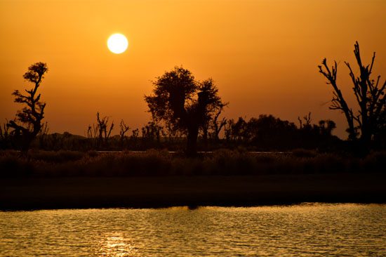 al-qudra-sunset-desert-oasis-private-dinner-families-kids-friends-or-colleagues-dubai-g7